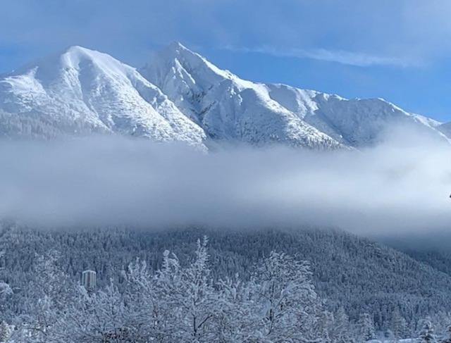 Appartamento Haus Anna Seefeld in Tirol Esterno foto